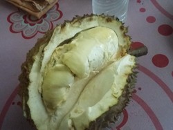 Perhatian! Ada Durian Enak di Rinjani