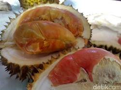 Jelajah Mudik Ramadan: Mencicipi Legitnya Durian Merah Banyuwangi