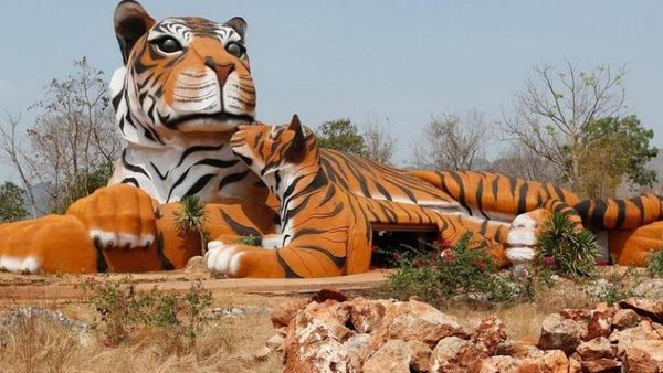 Menengok Kuil Harimau yang Kontroversial di Thailand