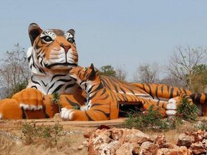 Menengok Kuil Harimau yang Kontroversial di Thailand