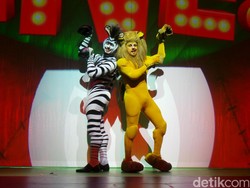 Jangan Lewatkan Tiga Show di Hari Terakhir Broadway Madagascar Live!