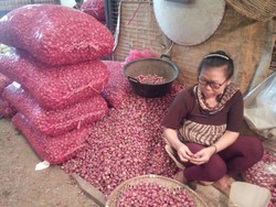 Stok Pangan Untuk Puasa Sampai Lebaran Dipastikan Aman