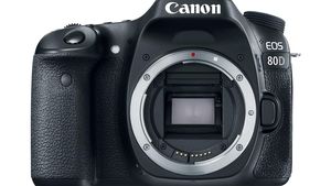 EOS 80D dengan Sensor Anyar