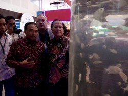 Pemerintah akan Tambah Pelabuhan Ekspor Ikan, Dibangun di Indonesia Timur