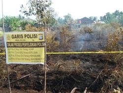 Anggota TNI Hilang Saat Lakukan Pemadaman Kebakaran Hutan di Riau