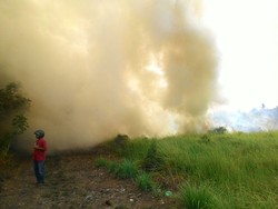 PNS Jadi Tersangka, Begini Wujud Api di Pekarangan yang Menjalar ke Lahan 0,5 Ha