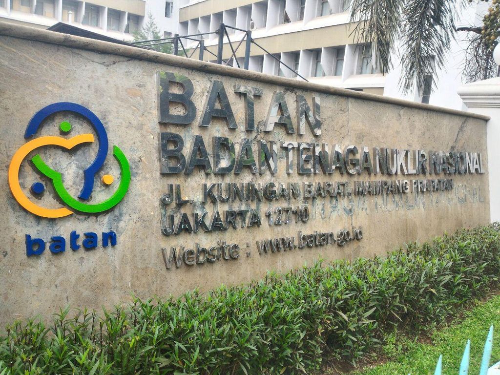 Guyon Kepala Batan: Saat Makan Pisang Ada Zat Radioaktif Masuk ke Tubuh Guyon Kepala Batan: Saat Makan Pisang Ada Zat Radioaktif Masuk ke Tubuh