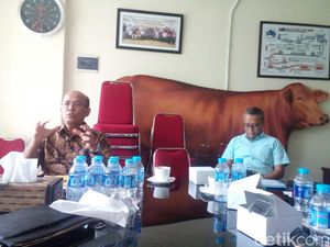 Feedloter: Kita Tidak Pernah Bagi Kuota dan Atur Harga Sapi
