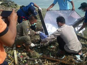 Potongan Tubuh Pria Ditemukan di Pinggir Pantai Pulau Beras Kecil Potongan Tubuh Pria Ditemukan di Pinggir Pantai Pulau Beras Kecil