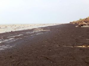 Jerman Kucurkan Rp 180 M Buat Atasi Abrasi di Kepri