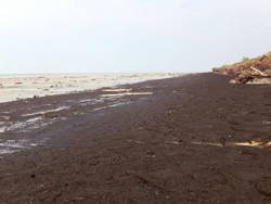 Jerman Kucurkan Rp 180 M Buat Atasi Abrasi di Kepri