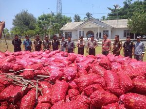Bea Cukai dan TNI AL Gagalkan Penyelundupan 50 Ton Bawang Merah di Aceh