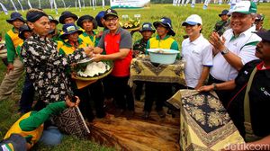 Panen Raya Padi Program GP3K di Yogyakarta
