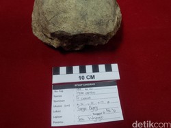 Temuan Fosil Manusia Purba Sejak Zaman Belanda di Sangiran