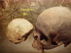 Saat Manusia Modern dan Manusia Purba Dipertemukan di Sangiran
