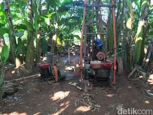 Ditjen Imigrasi akan Koordinasi dengan TNI AU Soal 5 WN China