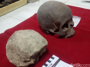 9 Fosil Manusia Tertua di Dunia, Ada yang dari Indonesia! 9 Fosil Manusia Tertua di Dunia, Ada yang dari Indonesia!