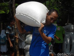 Momen Brigadir Iwan Bandar Sampah di Antara Karung Plastik dan Kertas