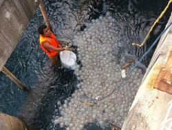 Kerugian PLTU Paiton Capai Puluhan Miliiar Rupiah Saat Unit 9 Tak Beroperasi