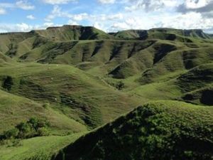 Liburan Ala Pendekar Tongkat Emas di Sumba