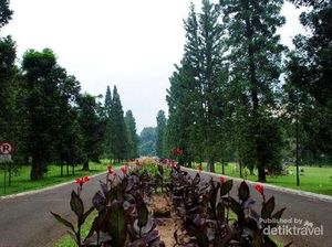 Rekomendasi 6 Tempat Wisata Asyik di Bogor Rekomendasi 6 Tempat Wisata Asyik di Bogor