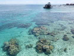 Cerita Lucu, Asal Usul Nama Derawan