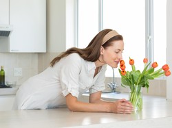 Tips Menata Tanaman di Dapur Rumah Anda