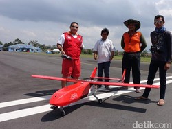 Elang Barat Tak Terbang di Selat Sunda, Kenapa?