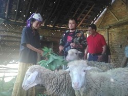 Kisah Nenek Senija Tinggal di Kandang Kambing Mulai Mendapat Simpati