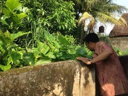 Takut Tak Bisa Ikut UN Diduga Jadi Motif Siswi SMP ini Buang Bayinya di Semak-semak