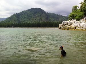 Pantai Teluk Jantang yang Masih Perawan di Aceh
