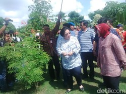 Menerka Pesan Politik Kunjungan Mega ke Surabaya