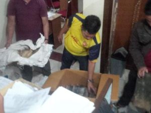 Kulit Harimau dan Beruang yang Diamankan Polisi Diduga akan Dijual ke Luar Negeri