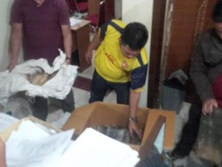 Kulit Harimau dan Beruang yang Diamankan Polisi Diduga akan Dijual ke Luar Negeri