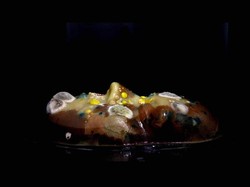 Seniman Melissa Fisher Bikin Karya Rupa dari Bakteri Wajah