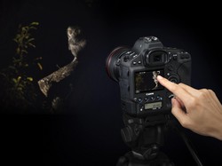 EOS-1D X Mark II Dirilis di Indonesia, Harganya Rp 82,5 Juta