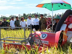 Kementan Siapkan Bibit Tanaman Bahan Baku Bahan Bakar Nabati