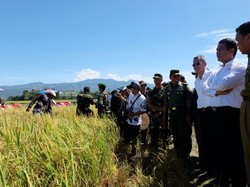 Tripartit Tata Kelola Air Irigasi Menuju Swasembada Pangan Nasional