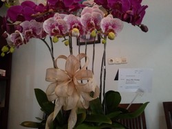 Aktivitas Pagi Hari Alvian Usai Bebas dari Penyanderaan: Cukur Rambut