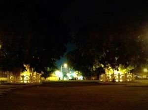 Pohon Beringin Kembar Alun-alun Kidul di Yogya yang Kaya Mitos