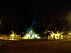 Pohon Beringin Kembar Alun-alun Kidul di Yogya yang Kaya Mitos