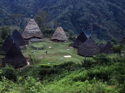 Liburan Panjang, Ayo Bertualang ke Desa Wae Rebo di Flores
