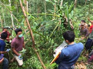 Ayah Gadis 14 Tahun Korban Pemerkosaan: Anakku Juara Sejak SD dan Pintar Ngaji