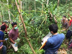Ayah Gadis 14 Tahun Korban Pemerkosaan: Anakku Juara Sejak SD dan Pintar Ngaji