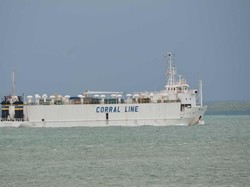 Eksportir Sapi Australia Tunggu Izin Impor RI Catur Wulan Kedua 2016