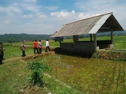 Presiden Jokowi Tinjau Irigasi Hasil Dana Desa di Banyumas