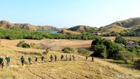 Pulau Rinca Diusung Jadi Jurassic Park Indonesia