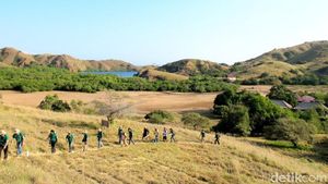 Pulau Rinca Diusung Jadi Jurassic Park Indonesia