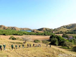 Ide Long Weekend: Trekking Sambil Melihat Komodo di Pulau Rinca