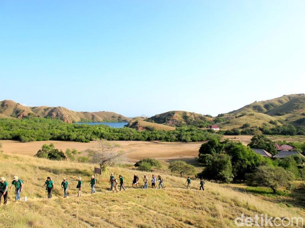 Pulau Rinca Diusung Jadi Jurassic Park Indonesia